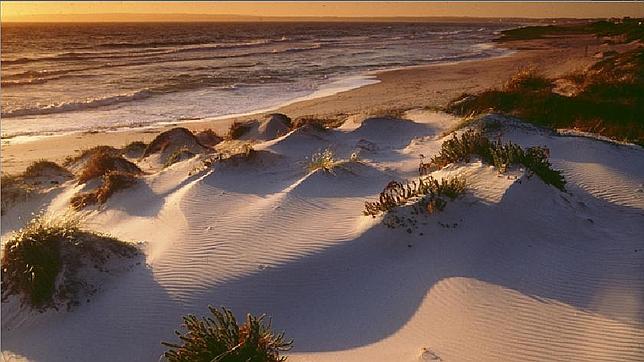 La playa de Espalmador