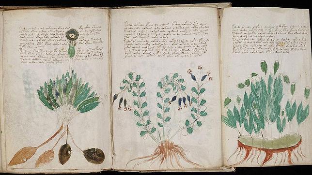 Hallan indicios de un idioma secreto en el misterioso libro de Voynich
