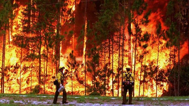 El 60% de los Grandes Incendios Forestales suceden en zonas «fuertemente modificadas» por el hombre