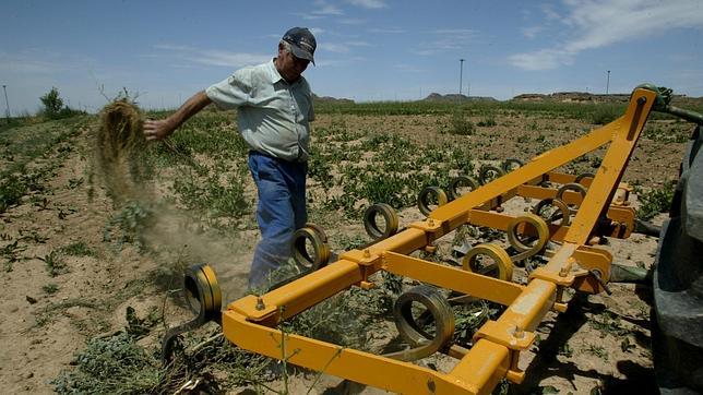 El 80 por ciento del territorio de Aragón puede acabar convertido en desierto