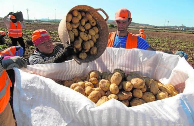 El PSOE dice que peligran los 150 millones de la PAC