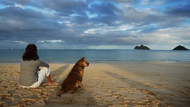 Mascotas: confesores y despertadores