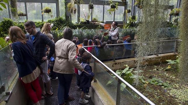 Uno de los grupos de niños que a menudo visitan el jardín botánico