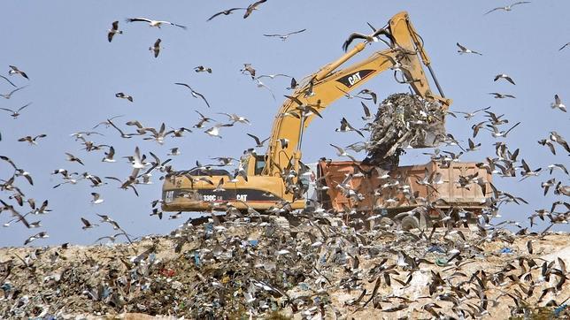 «Estamos en manos de estos delincuentes». Así de impotente se mostró el padre de Marta, Antonio del Castillo, tras no haber hallado pistas sobre su hija en el vertedero de Alcalá de Guadaíra