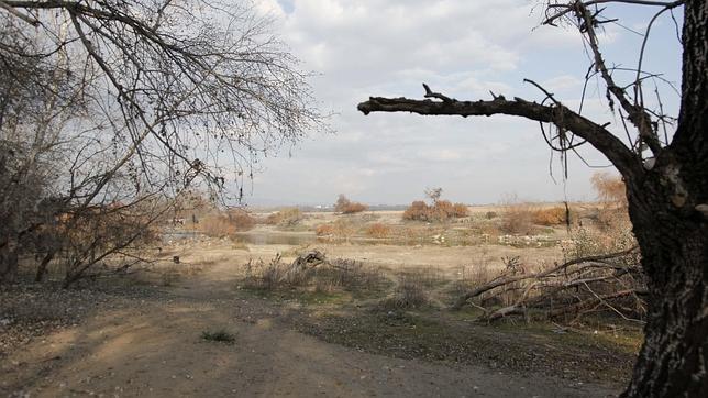 Lugar al final del camino Carbonell, junto al río Guadalquivir, donde fue encontrado el cuerpo de Soledad Donoso