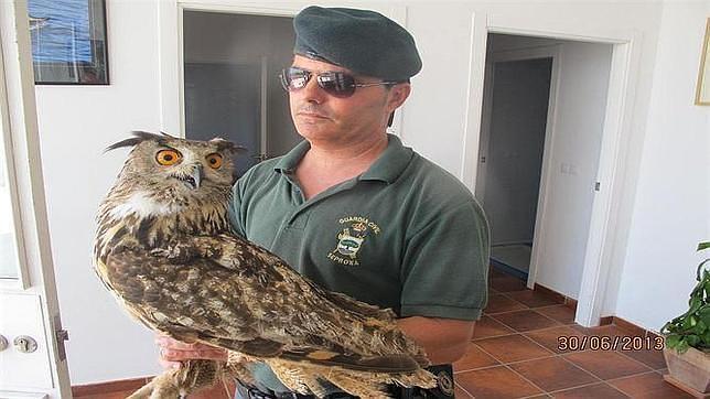 El nuevo contrabando: los animales exóticos