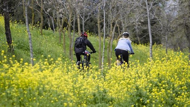 La Casa de Campo fue utilizada por la monarquía como zona de recreo