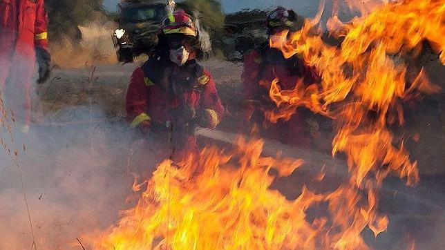 La Reina, el Príncipe y Doña Elena han visitado la zona afectada por el incendio de Andratx