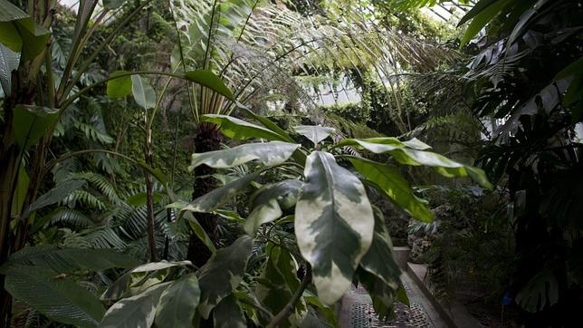 La abundante vegetación del Jardín Botánico hace que las temperaturas sean más suaves