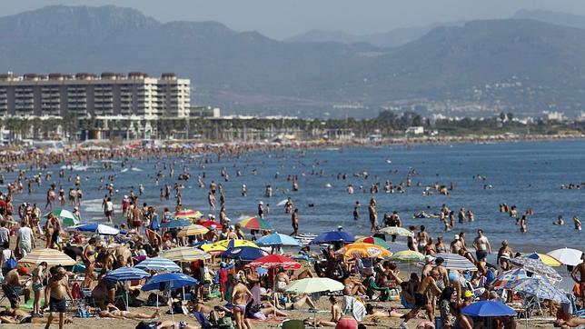 Un verano de tiburones y peces «peligrosos» en las playas de Valencia