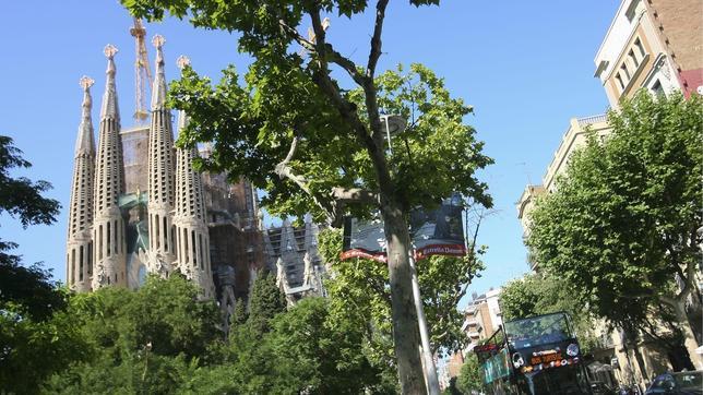 Preparan un acto anti-independentista en la Sagrada Familia para la Diada
