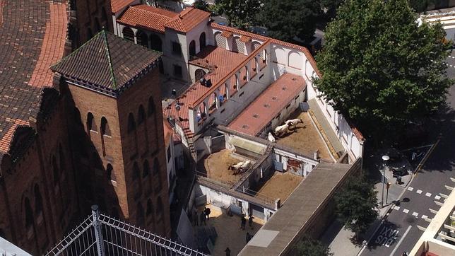 Barcelona veta una escena con astados en el rodaje de «The Gunman»