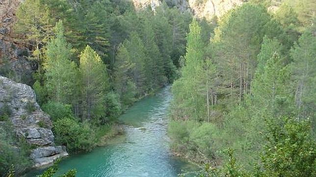 El Parque Natural del Alto Tajo es un paraje con gran diversidad de flora y fauna