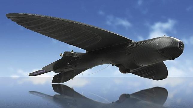 Florida utilizará «drones» para ayudar a erradicar los mosquitos