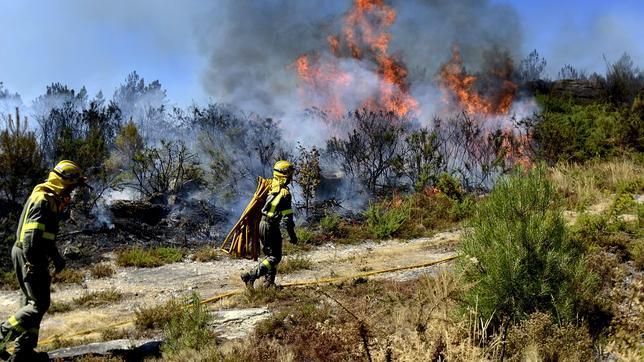 Bajo control el fuego en Chandrexa de Queixa que afecta a la red natura