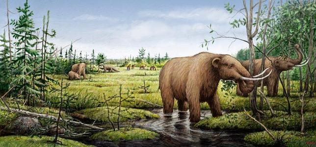 Un cometa acabó con los grandes mamíferos hace 13.000 años