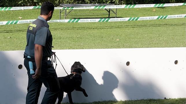 Los perros pueden oler la narcolepsia