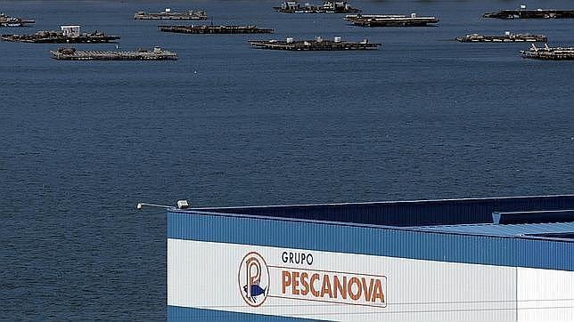Accionistas minoritarios y Damm lucharán por la dirección de Pescanova