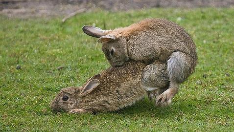 La imagen que ilustra la reacción de Lotus al fichaje de Raikkonen por Ferrari