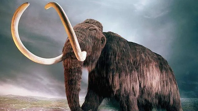 El frío glacial acabó con el mamut
