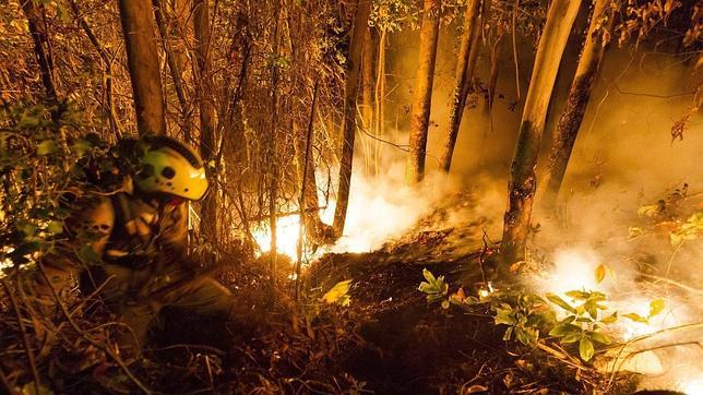 Controlado el fuego de A Fonsagrada