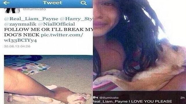 Una fan de One Direction: «Sígueme en Twitter o le romperé el cuello a mi perro»
