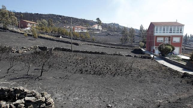 Ocho de los doce grandes incendios de 2013 han afectado a espacios protegidos