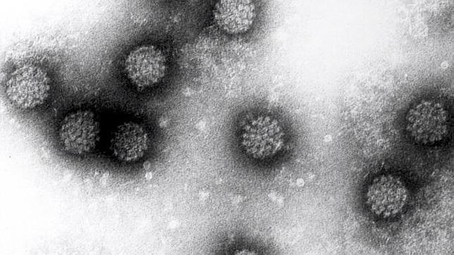 Un hospital chino pide sangre de estudiantes vírgenes para investigar el papiloma