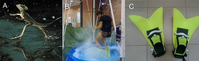 Imágenes del experimento