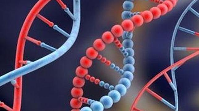 Primer mapa que interpreta la diversidad humana en clave genética