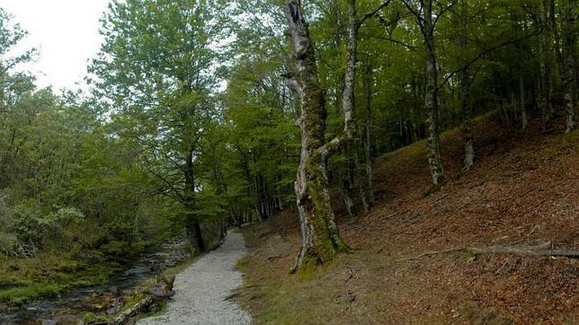Montejo de la Sierra