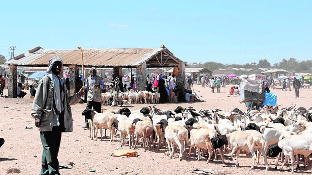 Somalilandia, la oportunidad de invertir en el país que no existe