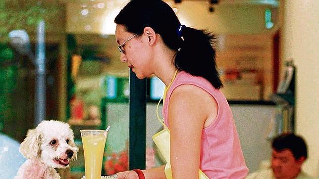 El paraíso de los perros