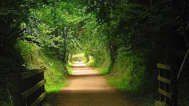 Diez vías verdes donde gozar del esplendor del otoño