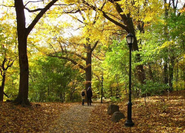 Nuestro poeta en Nueva York (16): El otoño en la mirada