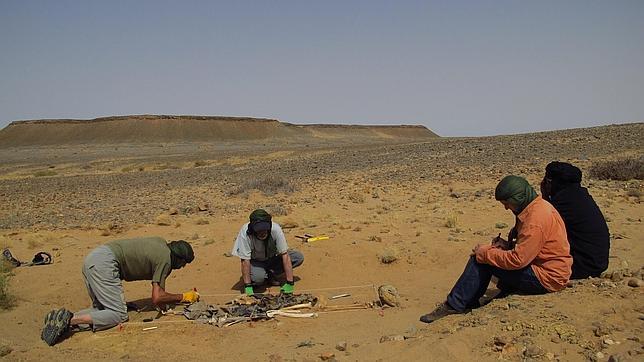 Hallan los restos de saharauis españoles fusilados hace 37 años