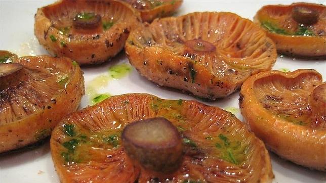 Diez recetas fáciles con setas como ingrediente principal