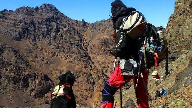 Las cinco cimas del planeta acompañados de perros de apoyo en montaña