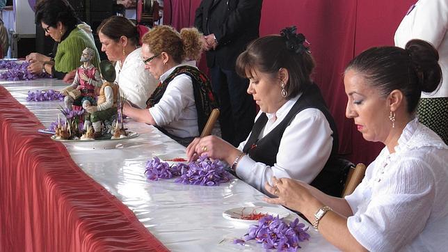 La Fiesta de la Rosa del Azafrán no conoce de crisis