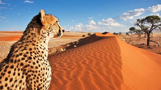 Namibia y su «Regalo a la Tierra»