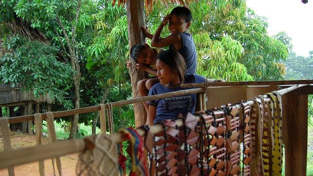 La mitad de los grupos indígenas de Colombia están en peligro de extinción