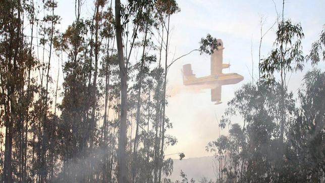 Las detenciones de incendiarios aumentaron un 150% este año