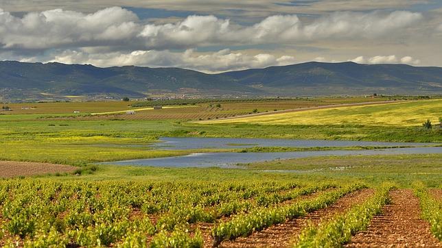 Bosque mediterráneo y tecnología punta para gestionar la recuperación de las Tablas de Daimiel