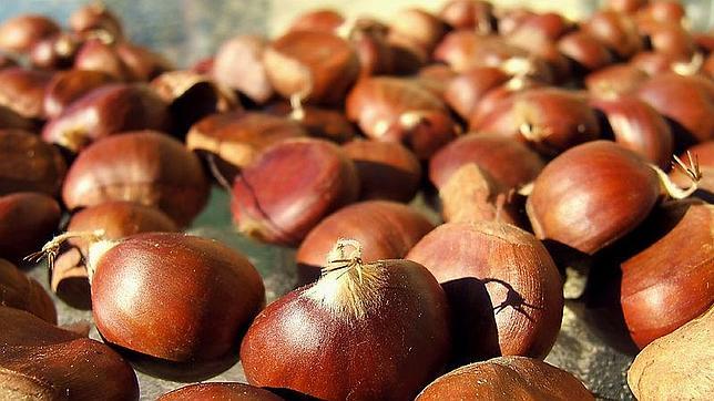 Cocinar con productos de otoño