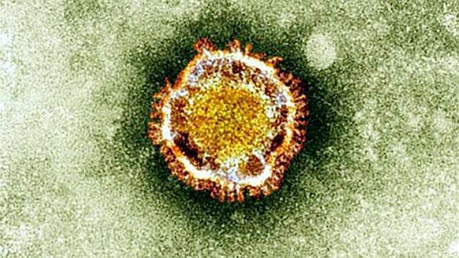 Detectado el primer caso importado del nuevo coronavirus en España