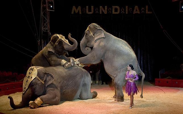 De la Antigua Roma al Circo del Sol, la historia «del mayor espectáculo del mundo»