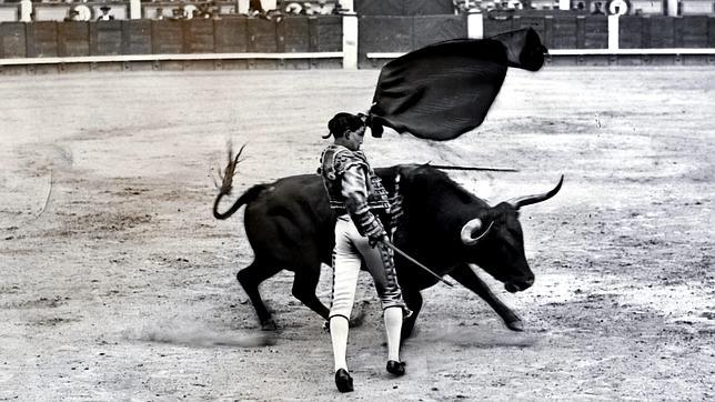 Seis divinidades de Joselito, «el torero que era más que el milagro»