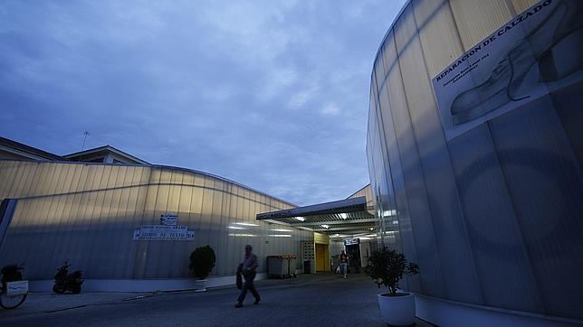 Mercado provisional instalado sobre los jardines de Pedro de Ribera