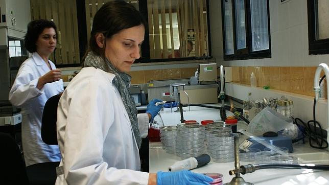 Industria apuesta por la investigación y la financiación a las empresas