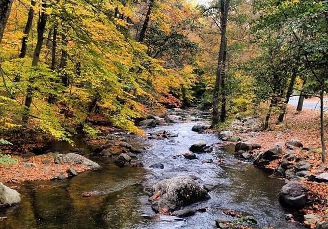 Nuestro poeta en Nueva York (18): La llave oxidada del olvido